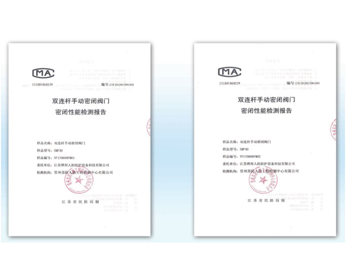 質(zhì)量及性能檢測報告二